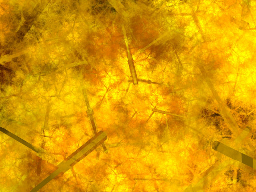 1262259 (a): :2048x1536